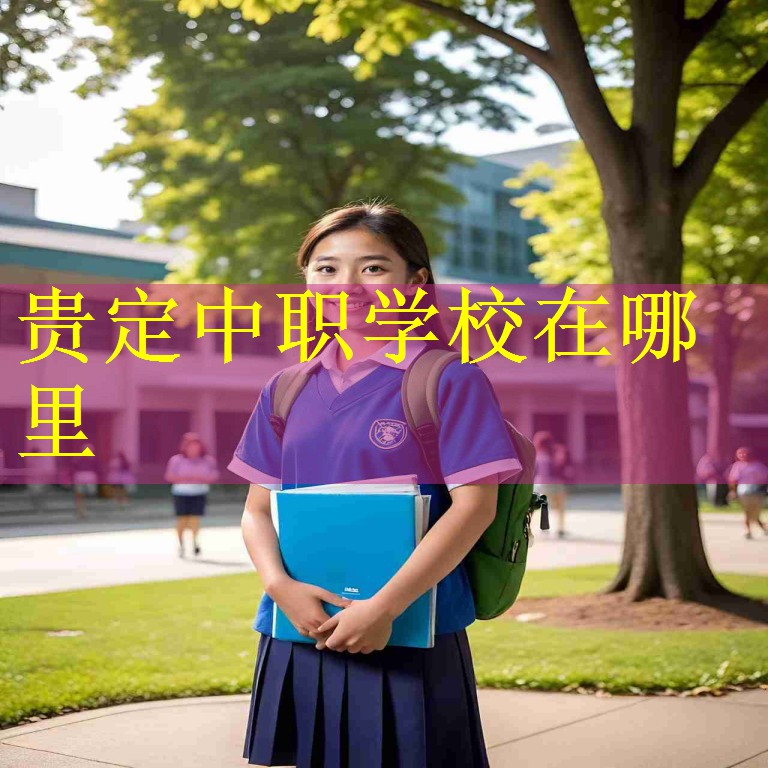 贵定中职学校在哪里