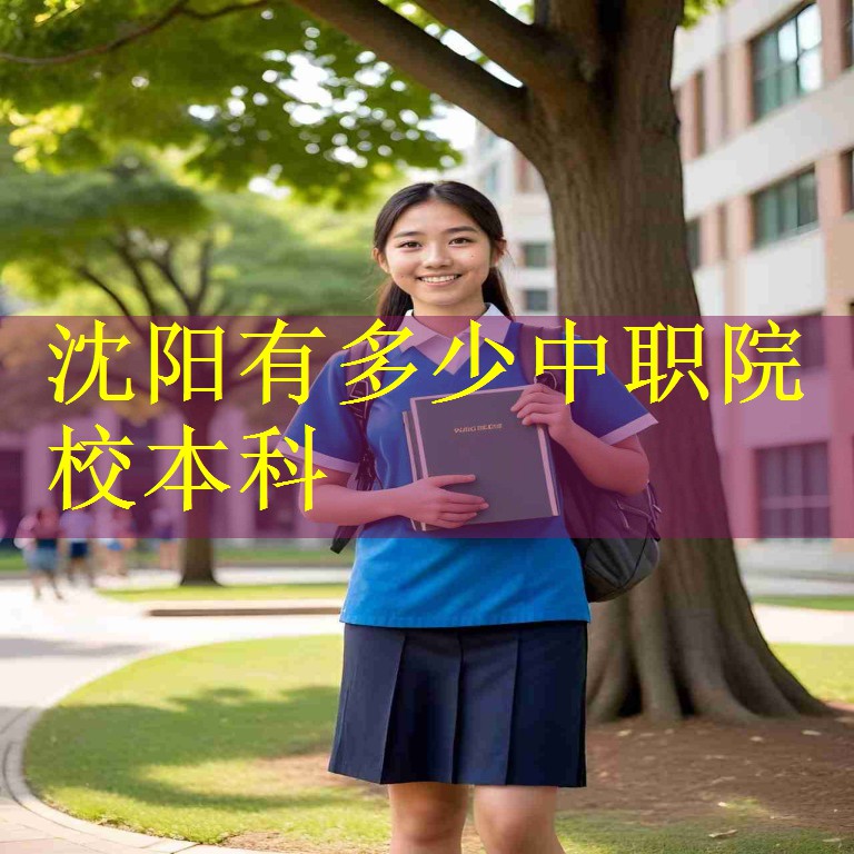 沈阳有多少中职院校本科