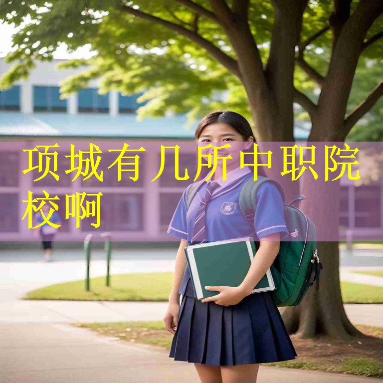 项城有几所中职院校啊