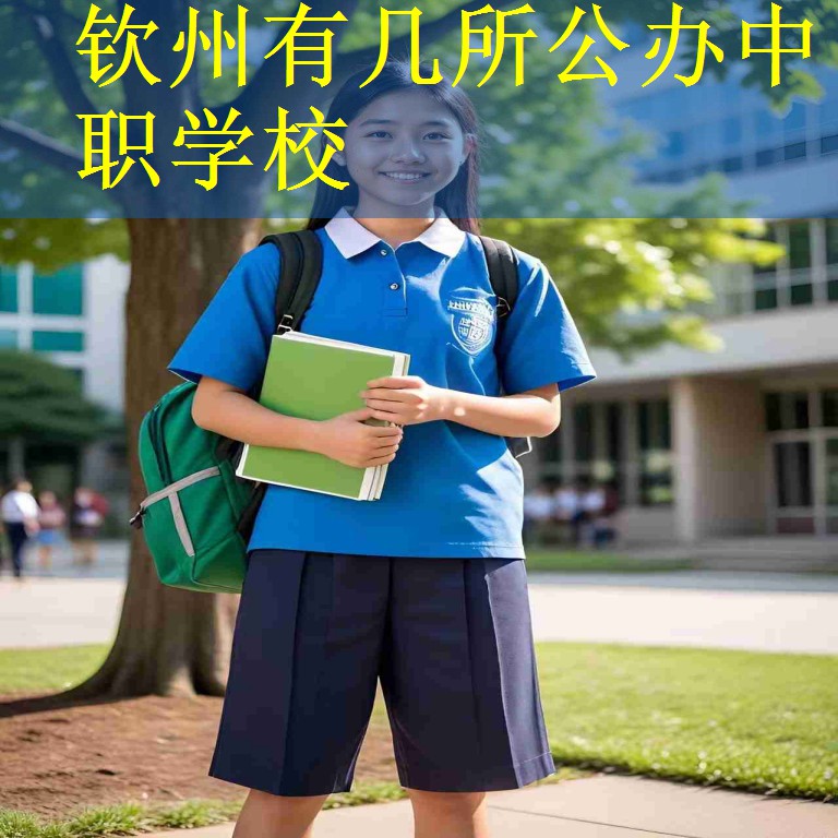 钦州有几所公办中职学校