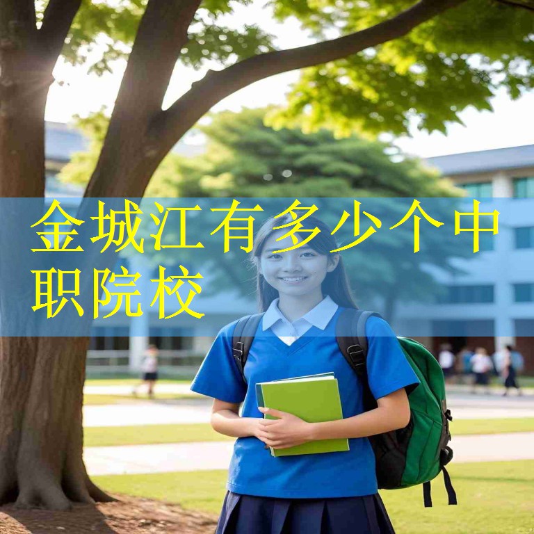金城江有多少个中职院校