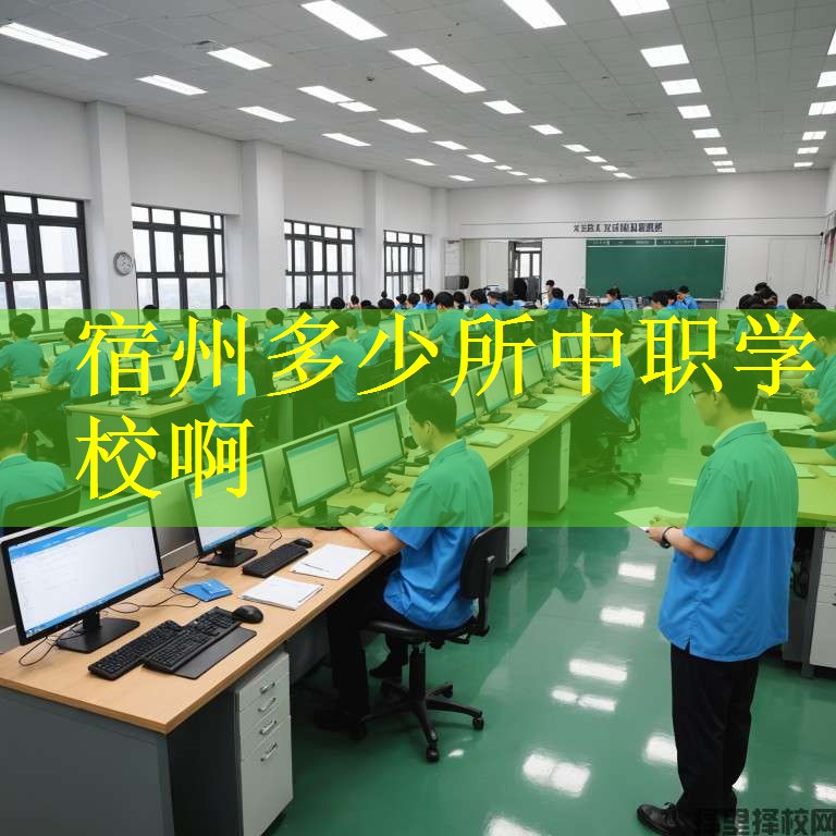 宿州多少所中职学校啊