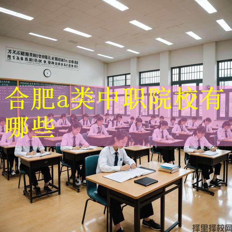 合肥a类中职院校有哪些