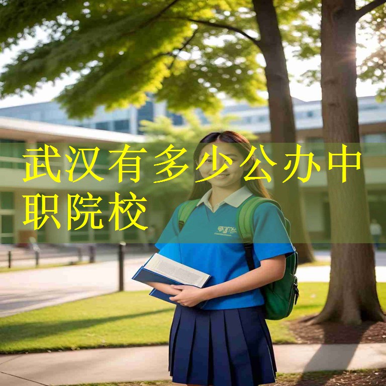 武汉有多少公办中职院校