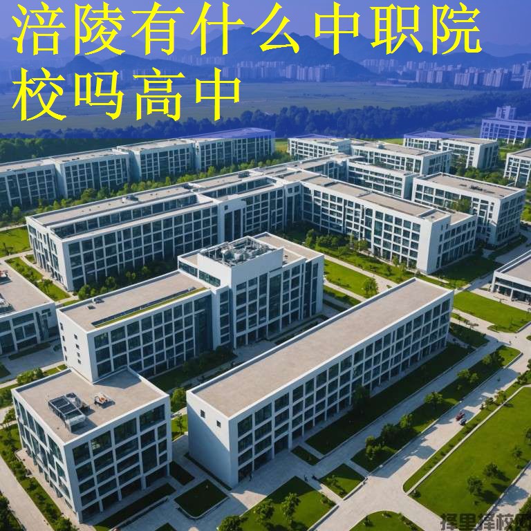 涪陵有什么中职院校吗高中