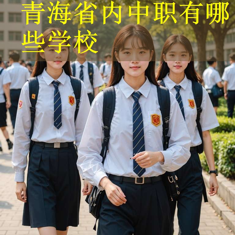青海省内中职有哪些学校