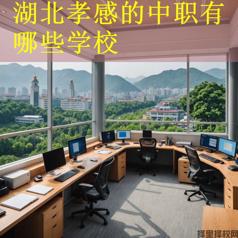 湖北孝感的中职有哪些学校