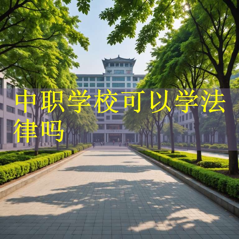 中职学校可以学法律吗